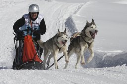 Kandersteg 2013